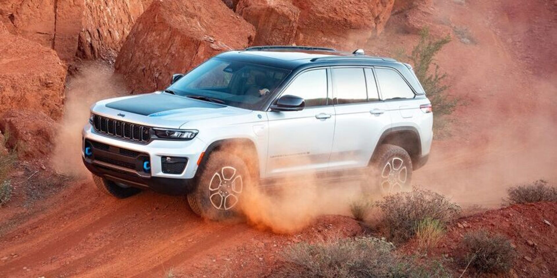 Plug-in-Hybrid