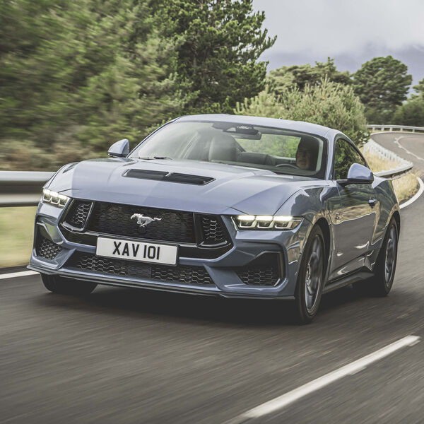 New Mustang – Das Leben ist ein Ponyhof 