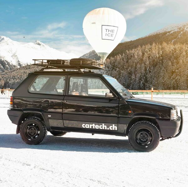 La chèvre de montagne italienne