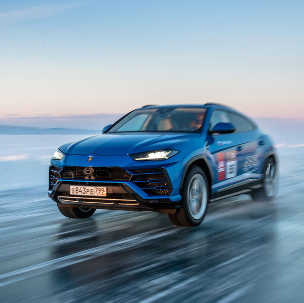 Urus auf dem Glatteis